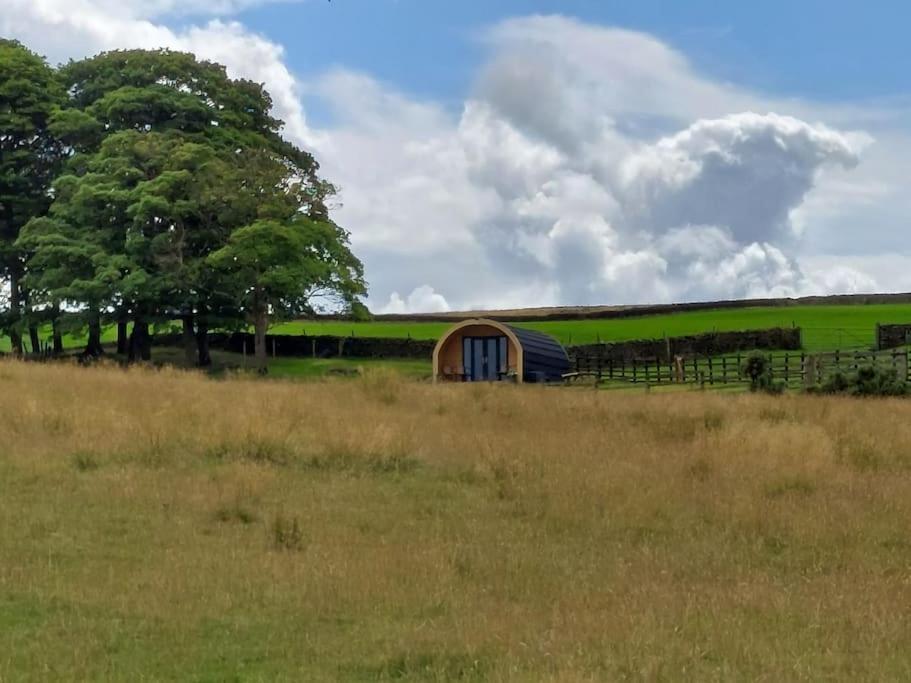 Appartement High Whashton Springs Glamping Pod, Richmond Yorks Extérieur photo